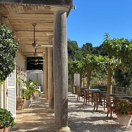 Le Clos Des Sept Palmiers 滨海卡瓦莱尔 外观 照片