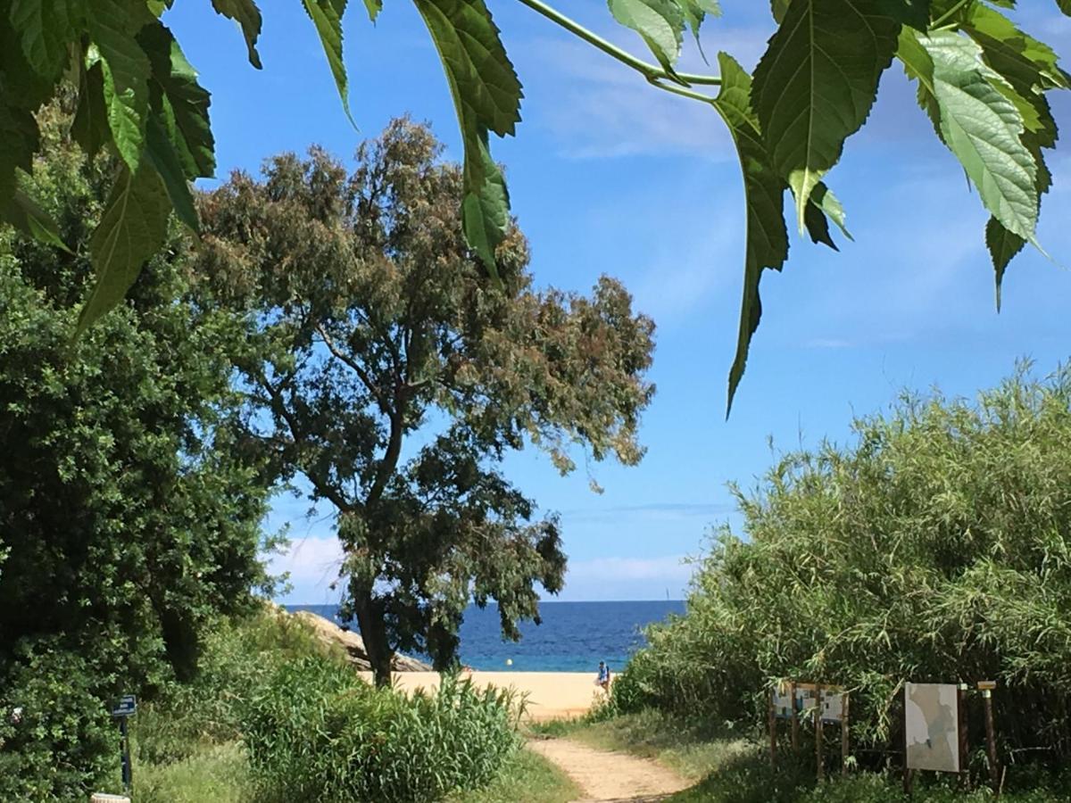 Le Clos Des Sept Palmiers 滨海卡瓦莱尔 外观 照片